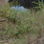 Újhuta Kastélyszálló Háromhuta - Környék