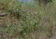 Újhuta Kastélyszálló Háromhuta