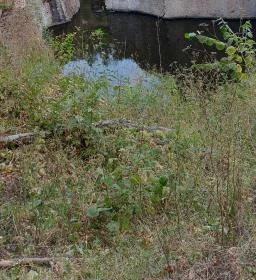 Újhuta Kastélyszálló