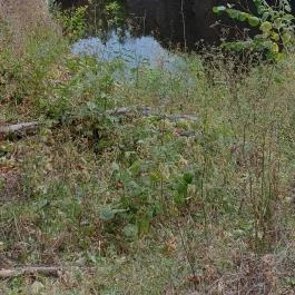 Újhuta Kastélyszálló Háromhuta - Környék