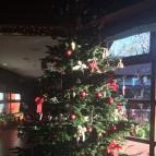 Ensana Thermal Sárvár Sárvár - Belső