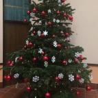 Ensana Thermal Sárvár Sárvár - Egyéb