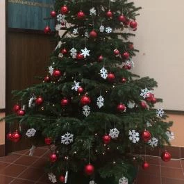 Ensana Thermal Sárvár Sárvár - Egyéb