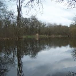 Hotel Orchidea Tengelic Tengelic - Környék