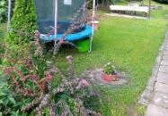 Aprócska Faház Bükkszék