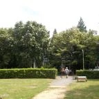 Club Aliga Balatonvilágos - Környék