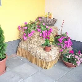 Solaris Apartman & Resort, Cserkeszőlő - Külső kép