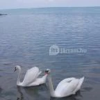 Hotel Aranypart Siófok - Környék