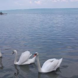 Hotel Aranypart, Siófok - Környék