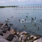 Hotel Aranypart Siófok - Környék