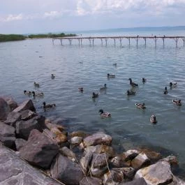 Hotel Aranypart, Siófok - Környék