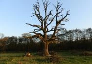 Kerca Bio Farm Rusztikus Vendégházak Kercaszomor