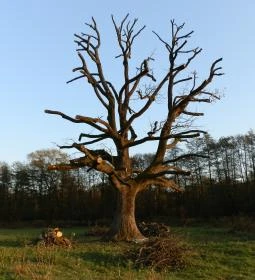 Kerca Bio Farm Rusztikus Vendégházak