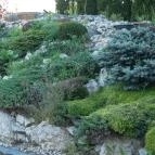 Orchidea Hotel Lipót Lipót - Medence/kert