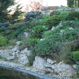 Orchidea Hotel Lipót, Lipót - Medence/kert