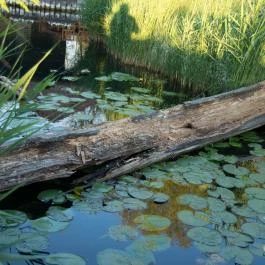 Orchidea Hotel Lipót, Lipót - Medence/kert