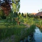 Orchidea Hotel Lipót Lipót - Környék