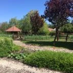 Orchidea Hotel Lipót Lipót - Medence/kert