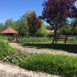 Orchidea Hotel Lipót, Lipót - Medence/kert