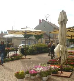 Arena Savaria Vendégszobák 