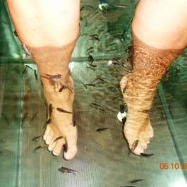 Balneo Hotel Zsori Thermal & Wellness, Mezőkövesd - Wellness