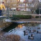 Bonita Apartman Hotel Cserkeszőlő - Környék