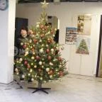 Hőforrás Hotel és Üdülőpark Gyula - Belső