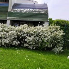 H?forrás Hotel és Üdül?park, Gyula - Egyéb