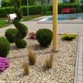 H?forrás Hotel és Üdül?park, Gyula - Egyéb