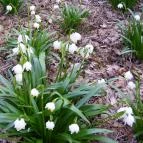 Hotel Napfény Zalakaros - Környék