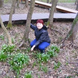 Hotel Napfény, Zalakaros - Környék