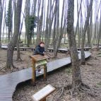 Hotel Napfény Zalakaros - Környék