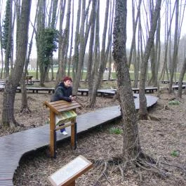 Hotel Napfény, Zalakaros - Környék