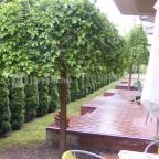 Pávai-Silye Apartman Hajdúszoboszló - Környék