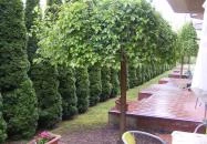 Pávai-Silye Apartman Hajdúszoboszló