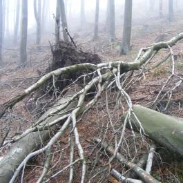 Platán Panzió, Dobogókő - Környék