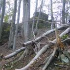 Platán Panzió Dobogókő - Környék