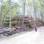 Platán Panzió Dobogókő - Környék