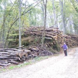 Platán Panzió, Dobogókő - Környék