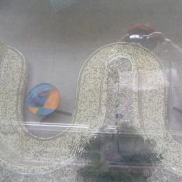 Hunguest Hotel Apollo, Hajdúszoboszló - Egyéb