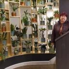 Hotel Wellamarin Zamárdi - Egyéb