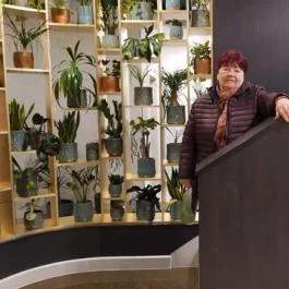 Hotel Wellamarin, Zamárdi - Egyéb