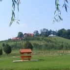 Zselicvölgy Szabadidőfarm Hajmás - Környék