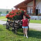 Zselicvölgy Szabadidőfarm Hajmás - Környék