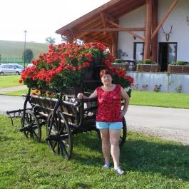 Zselicvölgy Szabadidőfarm Hajmás - Környék