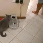 Kultúrmacska Kávézó Veszprém - Belső