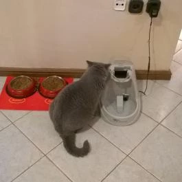 Kultúrmacska Kávézó Veszprém - Belső