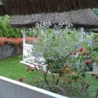 Szőlőskert Panzió Szigliget - Medence/kert