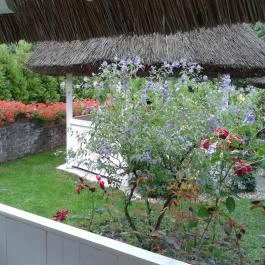 Szőlőskert Panzió, Szigliget - Medence/kert