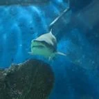 Hotel Dzsungel Nyíregyháza - Környék